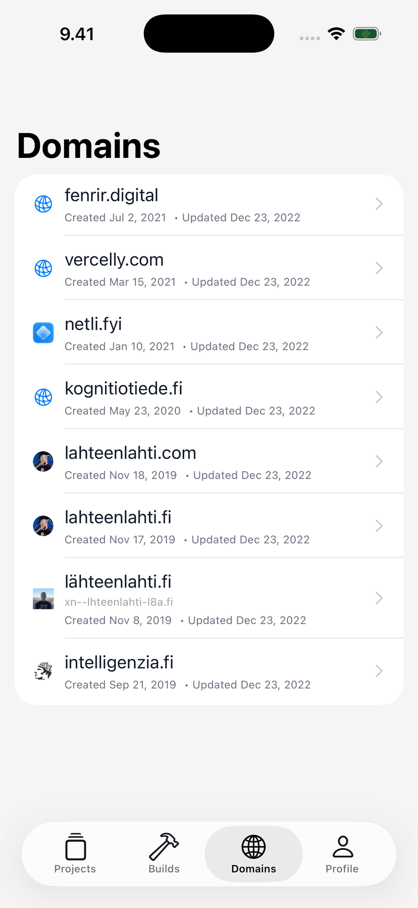 Netli.fyi domains list showing every domain with creation and update dates